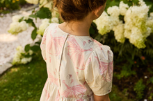 Load image into Gallery viewer, Meredith Dress in Ballerina Print
