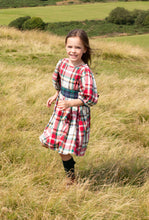 Load image into Gallery viewer, Girls Ruby Dress - Holiday Tartan Pink Chicken