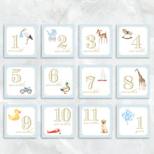 Load image into Gallery viewer, Blue Milestone Card Box Set