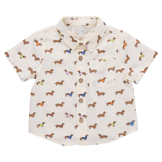 Pink Chicken boys button-down Jack shirt featuring dachshund dogs in sweaters, perfect for casual or dressy occasions.