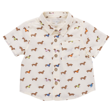 Load image into Gallery viewer, Boys Button Down Jack Shirt Dachshunds In Sweaters
