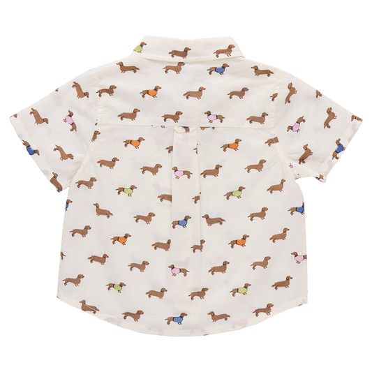 Pink Chicken boys' button-down Jack shirt featuring playful dachshund illustrations wearing sweaters, perfect for stylish kids.