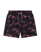 Load image into Gallery viewer, Kids Dino Bones Swim Shorts **Preorder**
