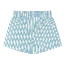 Load image into Gallery viewer, Green and blue striped shorts on a white background
