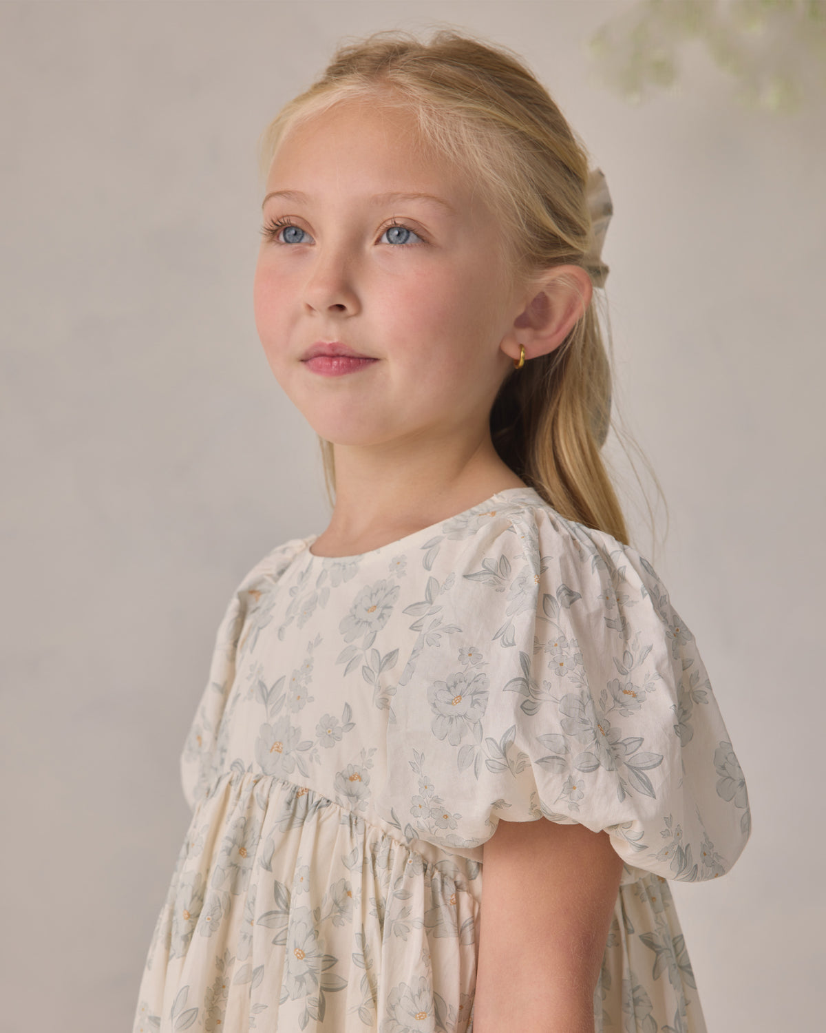 Noralee Luna Dress Mist with English Rose floral print, featuring a feminine design and soft, colorful rose pattern.