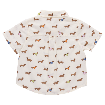 Pink Chicken boys' button-down Jack shirt featuring dachshund and sweater patterns, suitable for casual or dressy occasions.