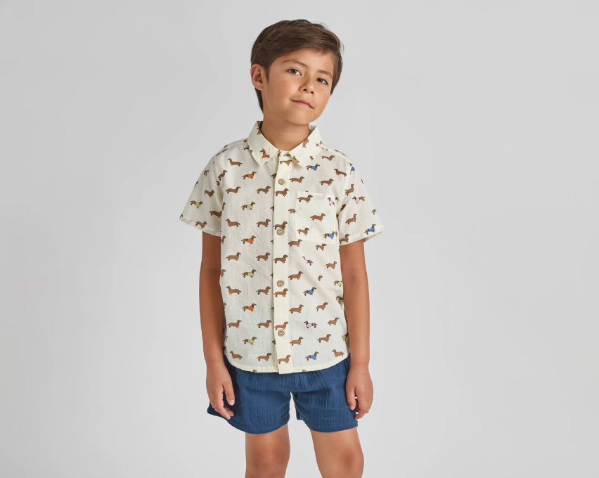 Pink Chicken boys' button-down Jack shirt featuring dachshund illustrations in sweaters, perfect for casual wear.