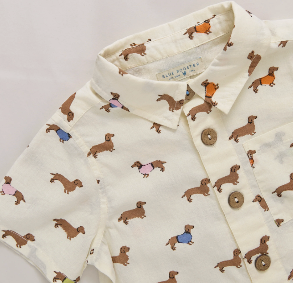 Pink Chicken boys' button-down Jack shirt featuring playful dachshunds in sweaters, perfect for stylish young boys.