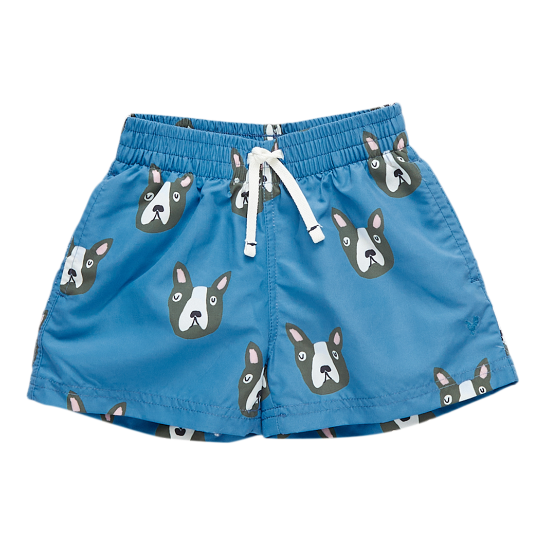 Blue Boston Terrier Boys Swim Trunk by Pink Chicken - Size 3Y