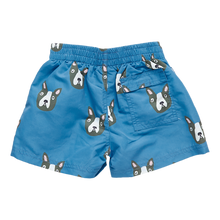 Load image into Gallery viewer, Blue Boston Terrier Boys Swim Trunk by Pink Chicken - Size 3Y
